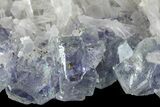 Blue Fluorite, Quartz, Pyrite - Fujian Province, China #31587-2